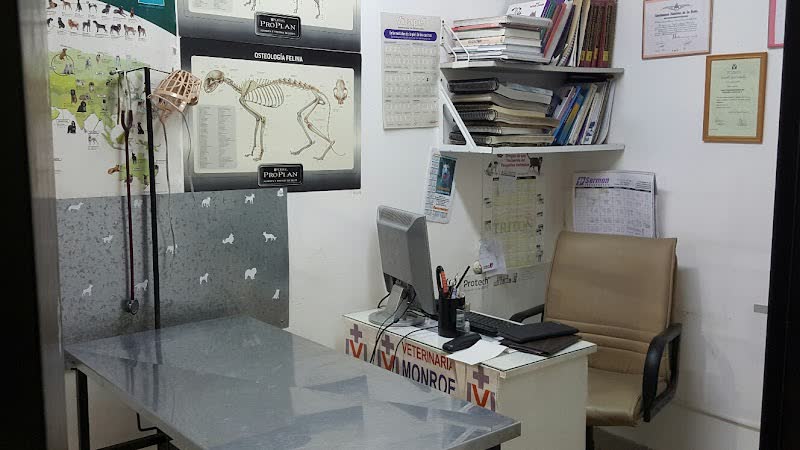 Consultorio de Veterinaria Monroe con mesa de examinación, diplomas profesionales y material de referencia en osteología felina
